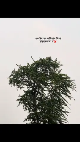 একদিন সব অভিমান লিখে  হারিয়ে যাবো.! ❤️‍🩹#fyp #accountgrow #unfreeze #sylhety #trending #viral #duet 