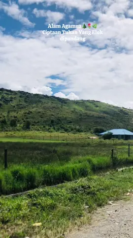 Tanah Papua ku sayang🌹🌲