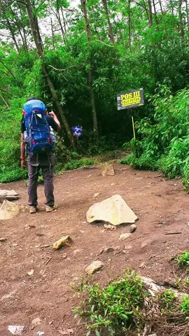 POS 3 #3428mdpl #gunungslamet #slametviapermadiguci #mendaki #duniamendaki #mdplindonesia 