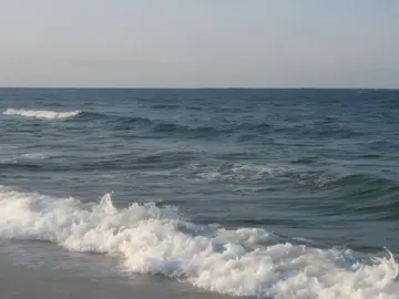 обожнюю цю пісню 🙏🏻 #eurovision #eurovision2025 #portugal #португалія #євробачення #євробачення2025 #deslocado 