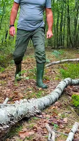Ep 336 - Survival Skills Make an oil lamp with your own hands. #survival #Outdoors #camping #lifehacks 