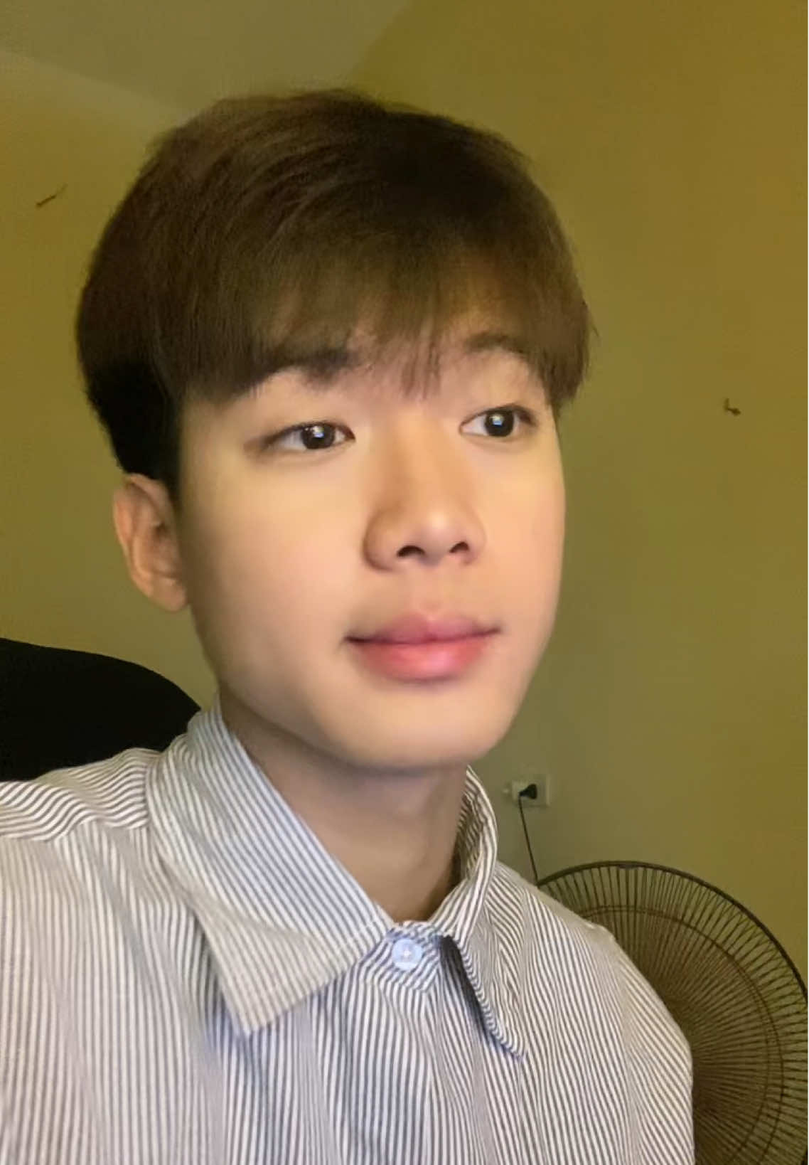 nhin em dauu #cover #loixinloivungve #viral #xuhuong 