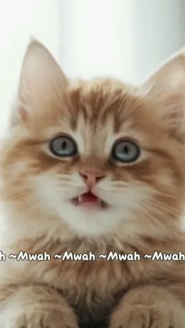 I ❤️ U baby😻🙏❤️ #cutecat #cute #ai #lipsync #Love #bestie 