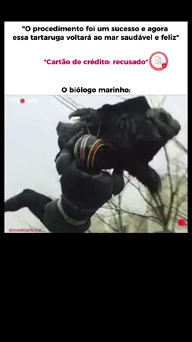 Real? #memesbr #memesengraçados #shitposting #piada #kamenrider #vaiprafy #memeviral 