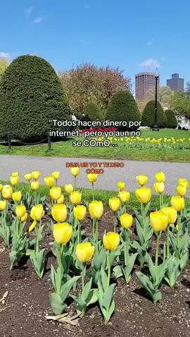 #parati #business #networkmarketing #negociosdigitales #fyp #rosmery #trending #guatemala #peru #eeuu #imlatam #fyp #jovenesmillonarios #emprendedor #Viral 