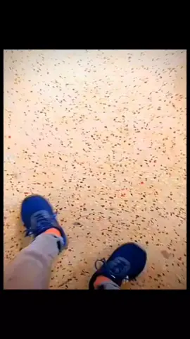 🌺🤙😒 #followers