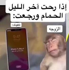 ####