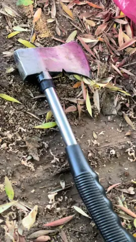 #tiziouzouⵣimazighen💛💚 #azazga_le_cœur_de_kabylie #الخيل_العربي_الاصيل #الابقار_الحلوات🙈 #cheval 🐎🐎🐎🐎🐎🐎🐎🐎