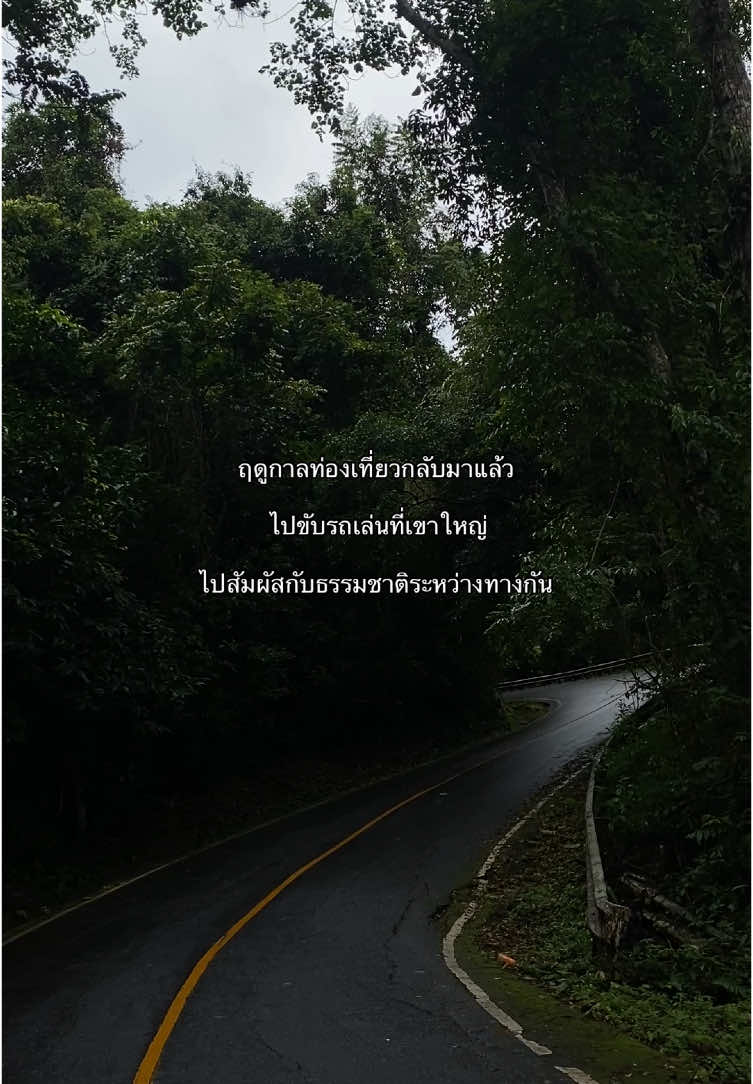 ไปขับรถเล่นที่เขาใหญ่กันเถอะ 🌳🌧️ #ธรรมชาติบําบัด #เที่ยวไปเรื่อย #เขาใหญ่ #อุทยานแห่งชาติเขาใหญ่ #เที่ยวฤดูฝน #ขับมอไซค์เที่ยว #ออกเดินทาง 