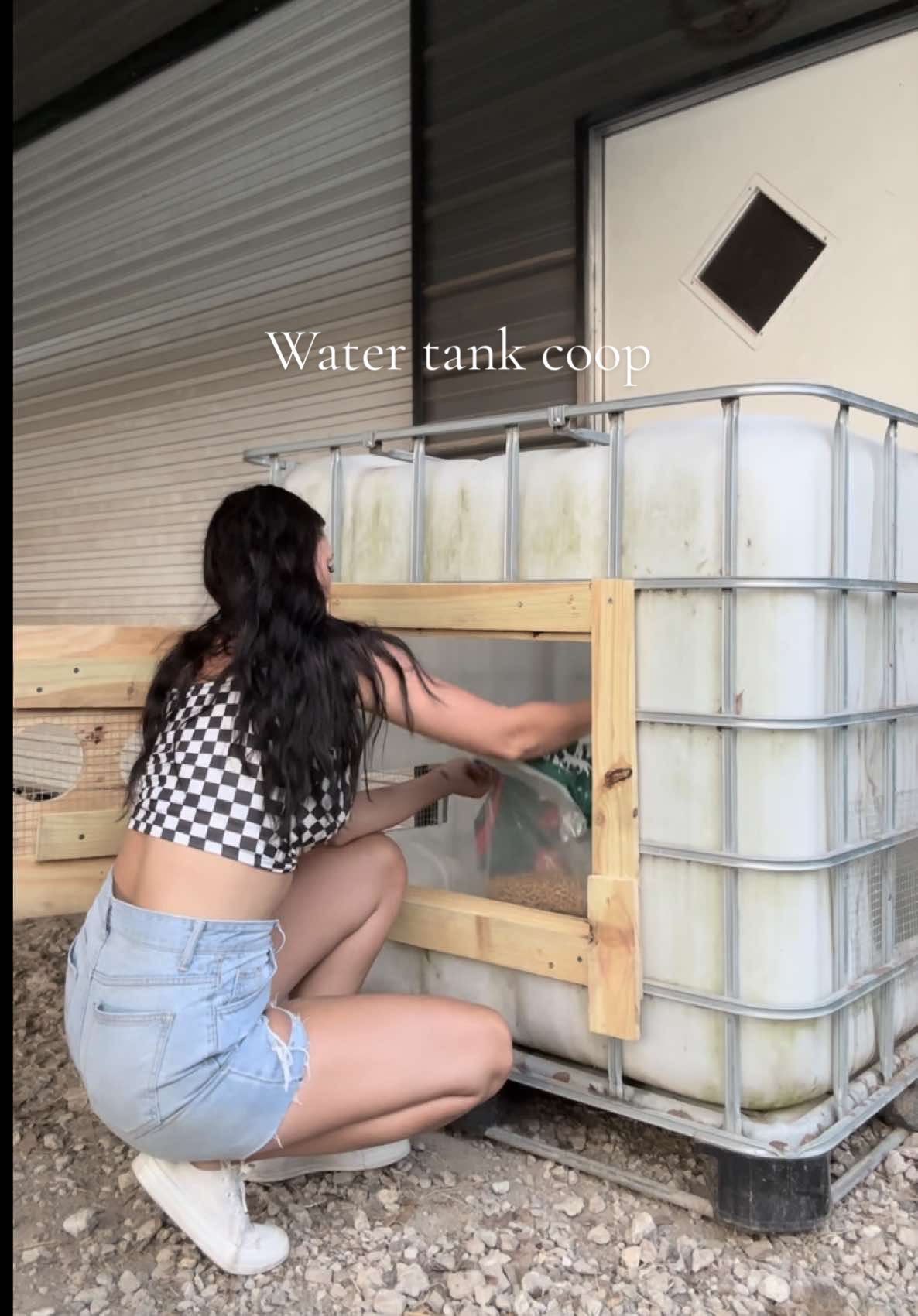 This will be the perfect home for our new chicks! #chickencoop #build #DIY #watertankcoop #coop #coopbuild #farmlife #farmtok #chickens #chicks #fyp #howto #byc #fypviral 