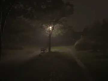 🌧️ #fyp #nature 