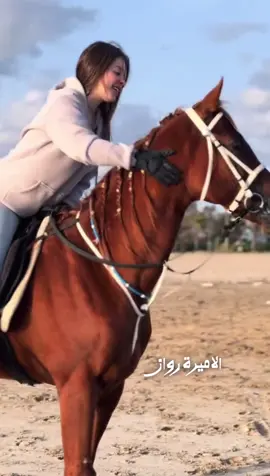 #اكسبلورexplore #اكسبلور #fyp #viral #اكسبلورر #خيل_وخياله🐎 