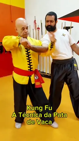 #tskf #kungfu #wushu #artemarcial #artesmarciais #defesapessoal #shaolin #chikung
