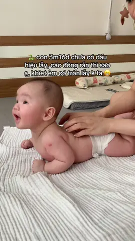 Không biết ẻm có trốn lẫy k ta 🤣 #chamcon #bimsua #embe #dangyeu #embeeasy #giadinhcaptain #lay 