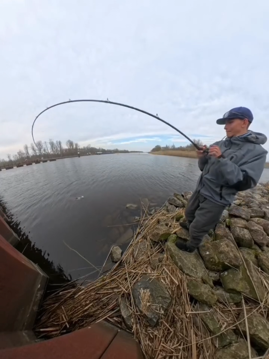 🤣Das hat einfach zu gut gepasst #angeln #hechtangeln #pikefishing #harzfishing 