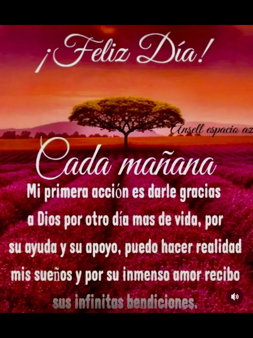 #entusmanosestamosseñormioydiosmio🤲🏼🙌🏼🤝 #condiostodoesposible🙏🏼🦋 #DIOSTEBENDIGA🙏🏼♥️🤝 #diospordelanteiniciomidia🙏🏼🦋🛐 #confeyesperanza💒🙏🏼 #dtiemposmejores👌☘️ #buendiaparatodoelmundo🌍☀️🦋🙏🏼 #graciasDiosporundiamasdevida🙏🏼♥️🦋 #graciasadiosportodo✝️🤲🏼 