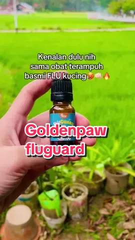 Ini dia yg gw cari obat flu kucing 😻 #fluguardgoldenpaw #fluguard #kucingflu #kucing 