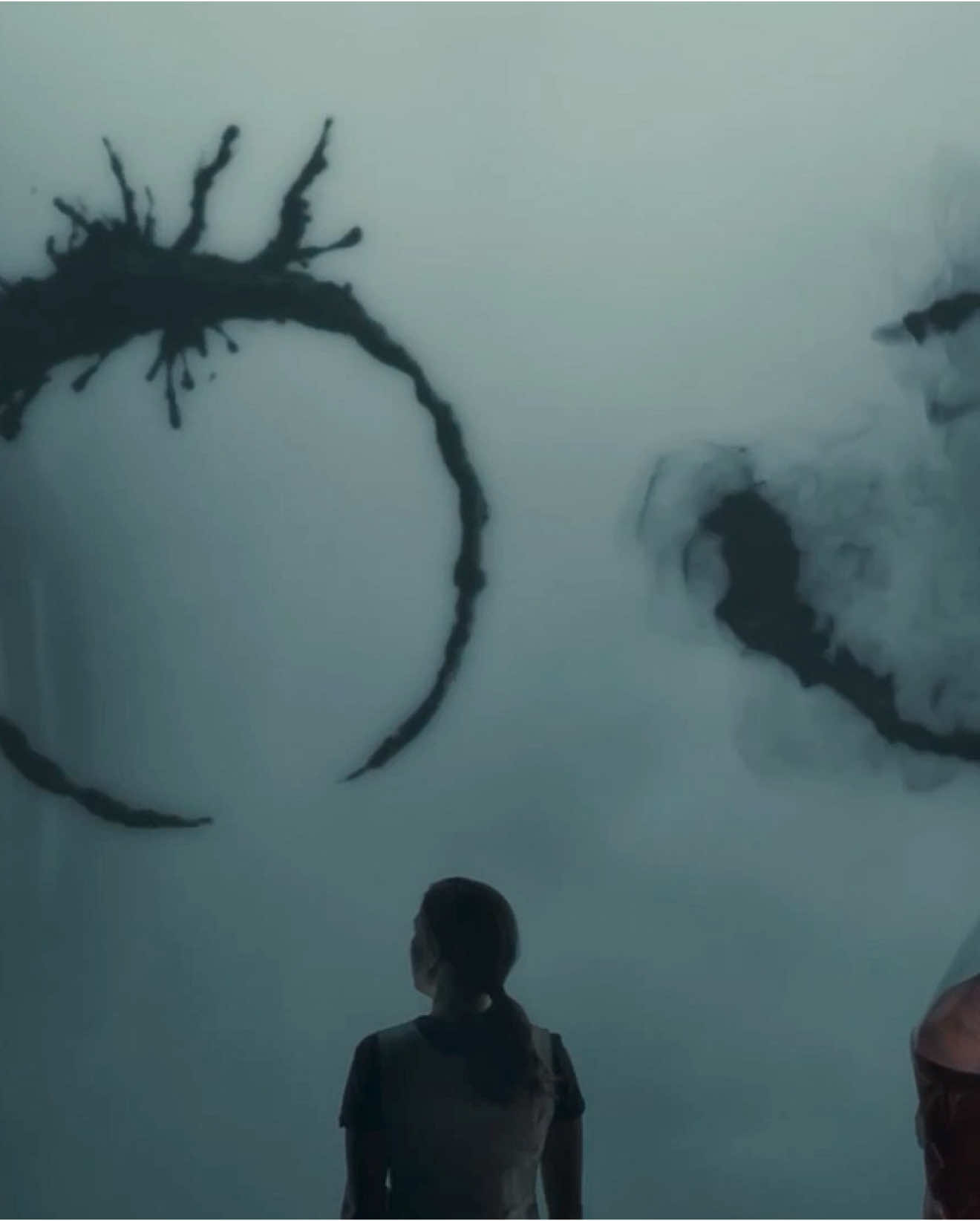 اشتراك ليتربوكسد باترون بـ90 بس عنده @A #arrival #denisvilleneuve #cinema #movie #fyp #viral #edit 