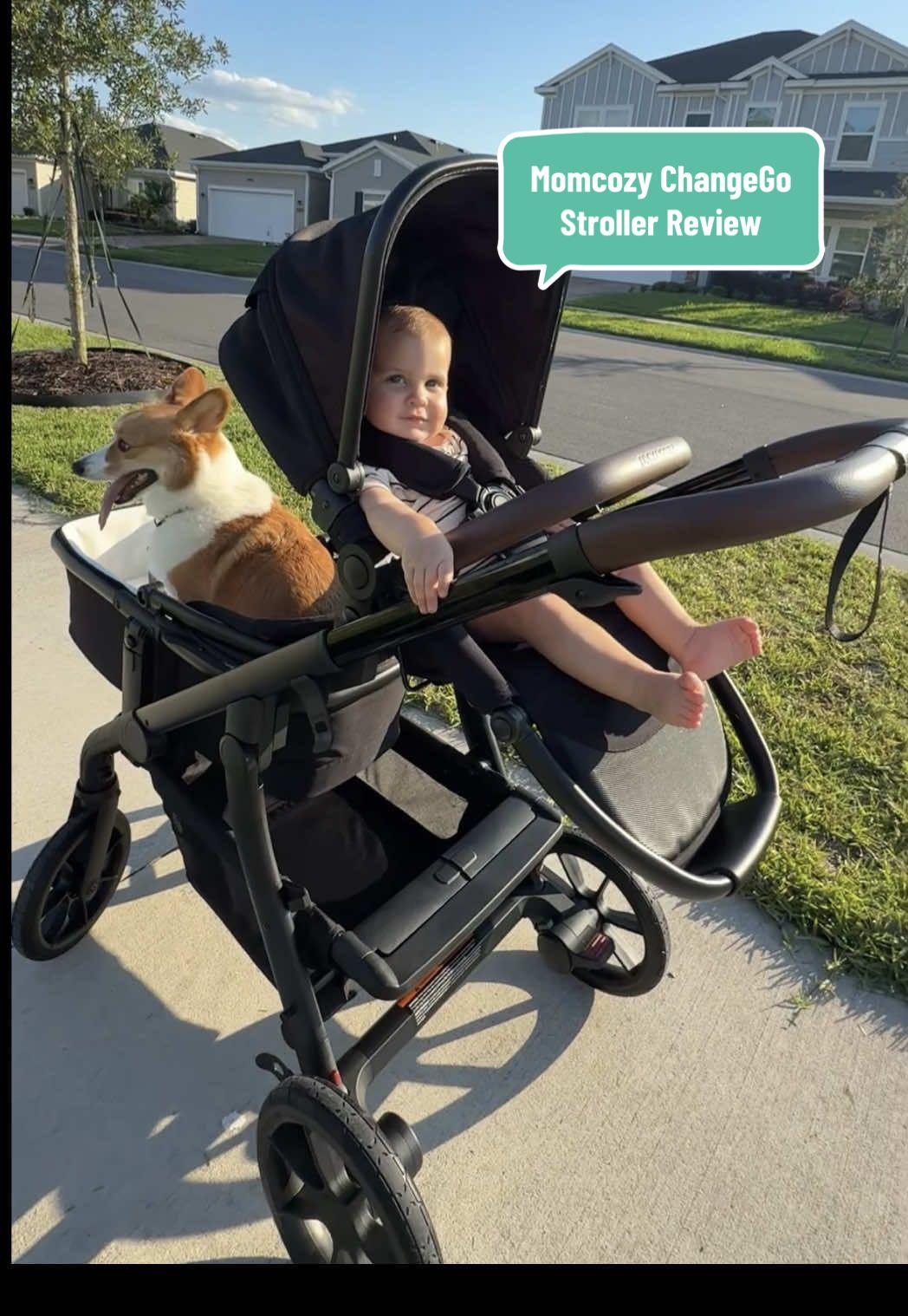 The best stroller for baby + dog walks 😂🥰 use code ARCHIE20C on Amazon for 20% off your purchase- $100s of dollars off!!! #MomsofTikTok #momcozychangego #corgi #corgisoftiktok #dogmom #momlife #1yearold #boymom #cutebaby #cutedog #momtok #momsover30 