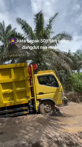 #fypage #viralditiktok #masukberanda #driversawitkalimantan 