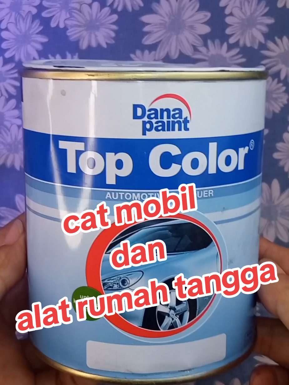 cat duco top color dari dana paint untuk mewarnai mobil dan alat rumah tangga #catduco #topcolor #danapaint #catmobil #catpagar 