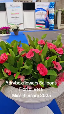 #missblumare #balloons  #Vicenza Adryboxflowers Balloons Vicenza 🎈 