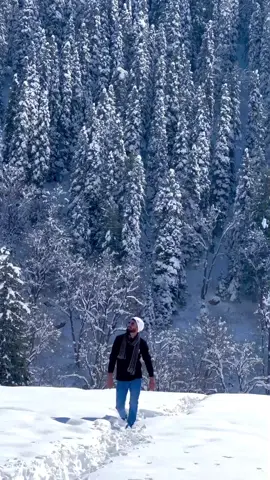 #CapCut 