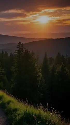 Jika akhirnya kamu mendengarkan cerita buruk tentangku dari mereka… #katakatabijak #quotes #penguat diri #motivasidiri #inspirasikehidupan #status #fyp