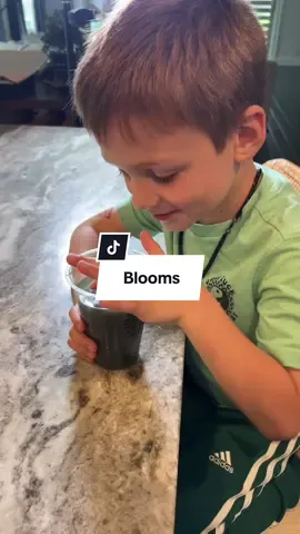 Major parent hack #blooms #bloomskids #supergreens #kidsvitamins #vitamins #parenthack #momhack #toptiermay #beautyinfullbloom #springtok #ttslevelup #creatoricons #TikTokShopCreatorPicks #TTSCreatorBash #tiktokshopmemorialday