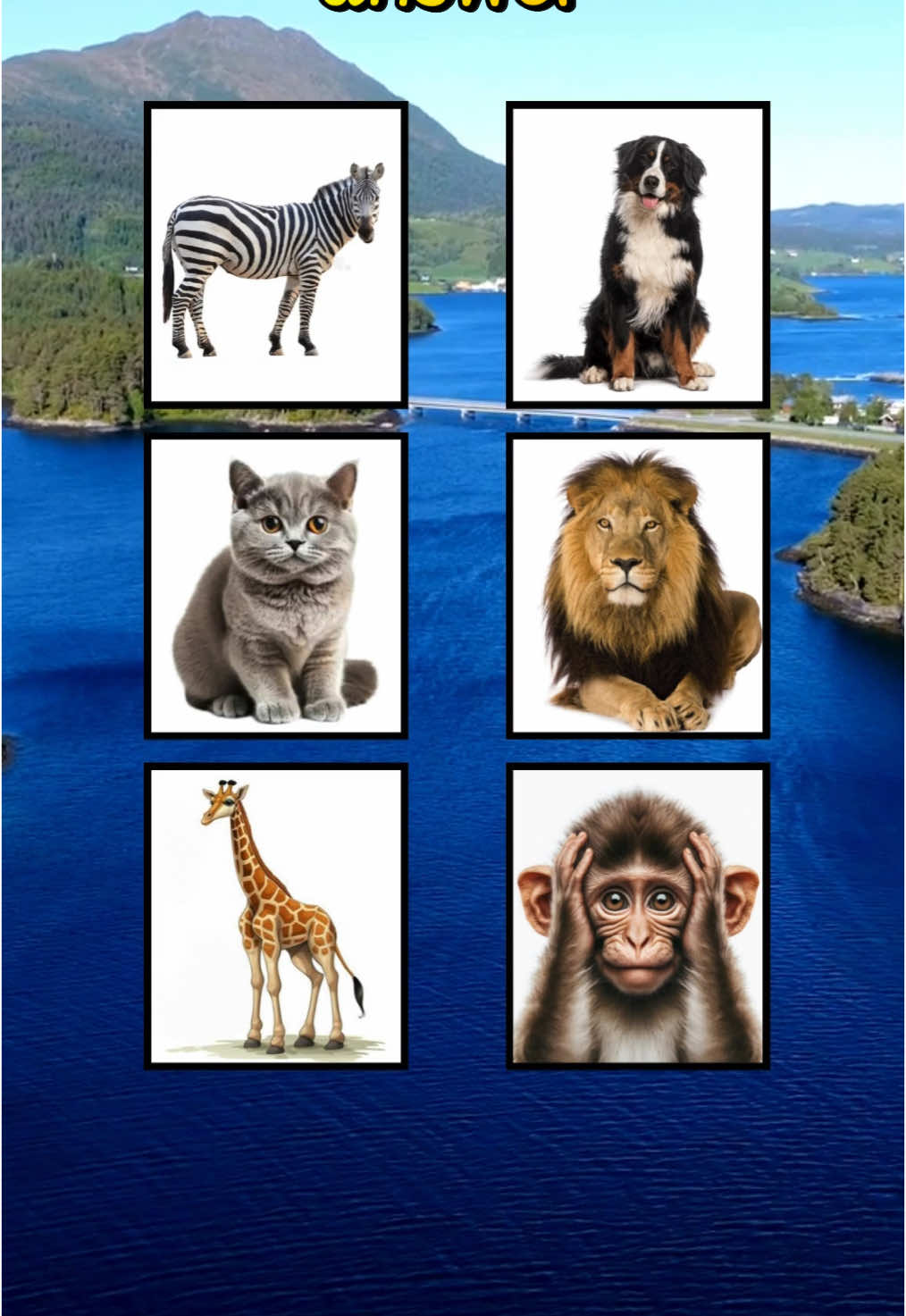 Memory Test #quiz #memory #test #challenge #quiztime #Viral #fyp #makeitviral #usa_tiktok 