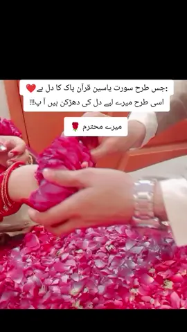 ❤️❤️❤️❤️