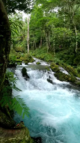📍Tioyacu, Rioja - Perú 🌿🐜 #nature #travel #adventure #paradise #destination #river #peru #rioja #fyp #tour #selvaperuana #relaxing #peace #calm #gopro #photography 