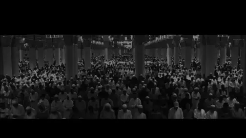 (وَيَوۡمَ يَعَضُّ ٱلظَّالِمُ عَلَىٰ يَدَيۡهِ يَقُولُ يَٰلَيۡتَنِي ٱتَّخَذۡتُ مَعَ ٱلرَّسُولِ سَبِيلٗا ) #عبدالمحسن_القاسم #قرآن_کریم #قرآن_كريم_راحة_نفسية🌷🌻 
