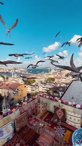 This is what calm looks like. 🇹🇷  #istanbul #VisitIstanbul #TurkeyTravel #TurkishVibes #IstanbulView #TeaTime #BirdsFlying #CityFromAbove #MagicalViews #TravelWithMe #TravelTok #Wanderlust #HiddenGems #IstanbulMoments #SoloTravel #PeacefulPlaces #BeautifulDestinations #ExploreTurkey #SunsetVibes #TravelInspo #MyTravelMoments #CityscapeLove #sunset #holiday #fyp #positivevibes 