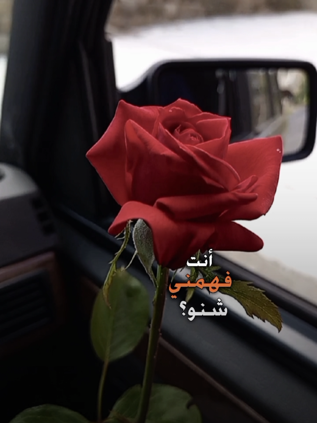 انت فهمني شنو حتى من تزعل حلو  #رعد_الناصري #اكسبلور #اكسبلورر #لايك_متابعه_اكسبلور #حركة_إكسبلور #تصويري #lavendr81 #تصميم_فيديوهات🎶🎤🎬 #trending #viral #fyp #fypシ゚ #الشعب_الصيني_ماله_حل😂😂 #CapCut 