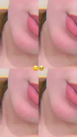 فالو کنین ملت 