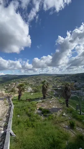 ارض الجنوب عيتا الشعب💛#عيتا_الشعب #جنوب_لبنان🇱🇧 #جنوب_لبنان 