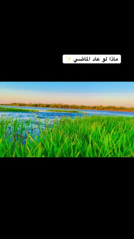 ماذا لو عاد الماضي ✨#تصويري📸 #عباراتكم_الفخمه📿📌 