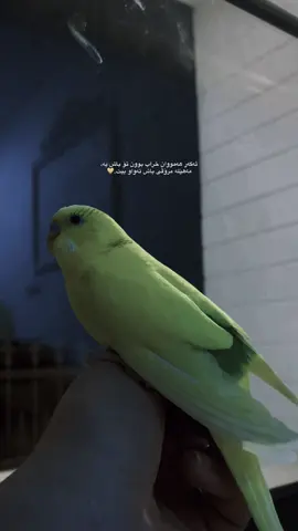 …