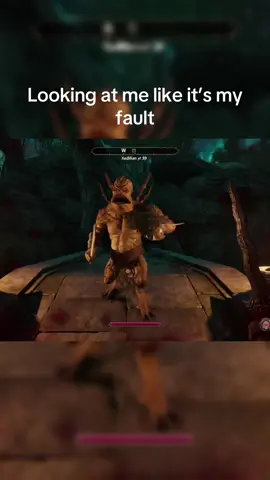 Looking at me like it’s my fault LLikeSpoons 1 #ps5 #gaming #xbox #elderscrollsoblivionremake 