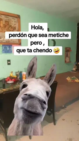 #CapCut  #perdonqueseametiche 