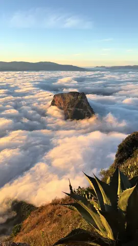 Amanecer en El mirador 4 Palos ☀️#cuatropalos #huastecapotosina #queretaro 