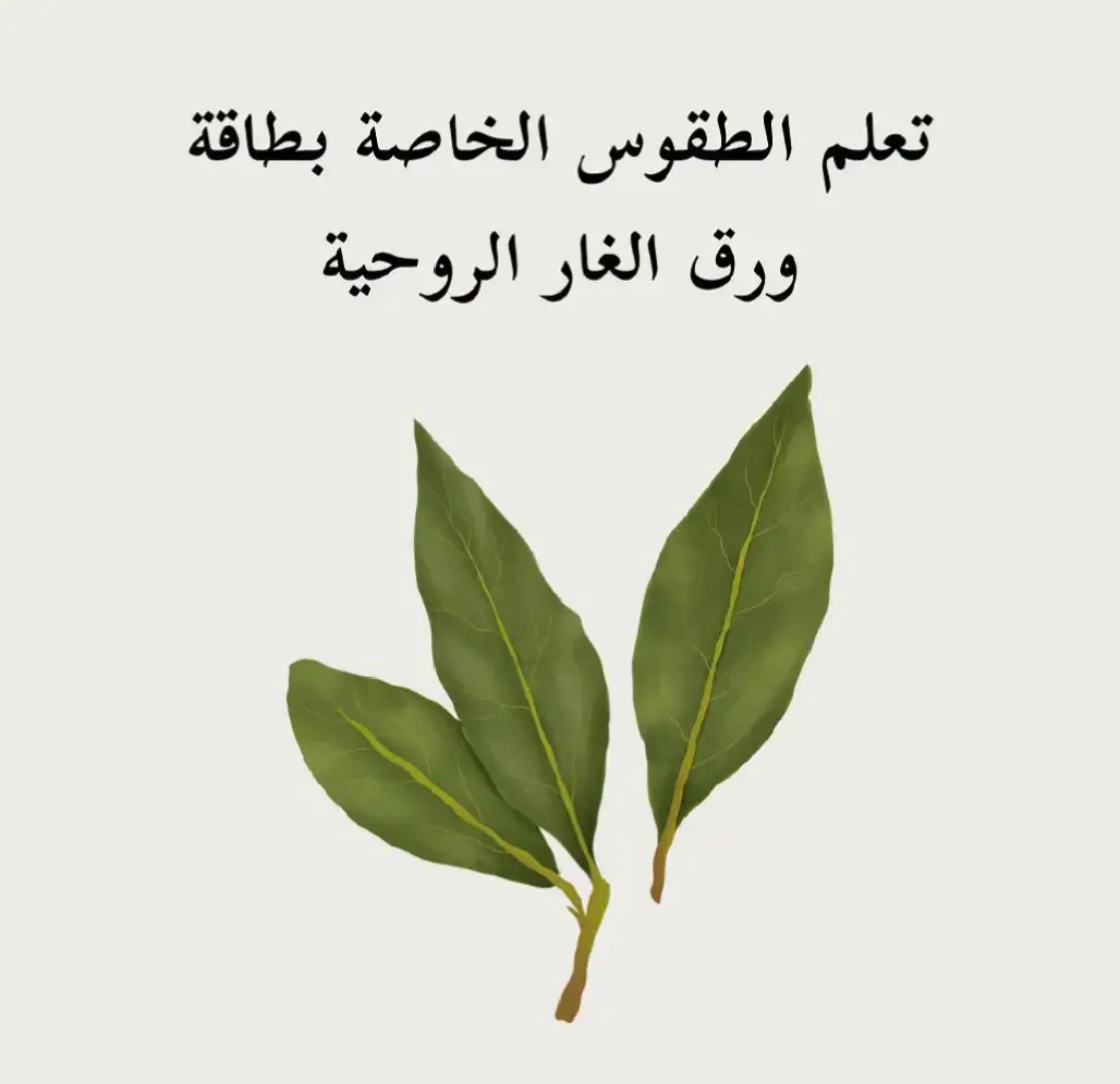جربت من قبل بورق الغار ؟  #تنمية #تنمية_الذات #تنمية_بشرية #تطوير #تطوير_النفس #تطوير_الذات #تحفيز #تحفيز_نفسي #تحفيز_ذاتي #ايجابية #إيجابي #وعي #وعي_بالذات #تشافي #امجد_بللي #قانون_جذب #اكسبلور #ترتد_تيك_توك #رقية_شرعية #الطاقة_الإيجابية #بنات #ابراج_اليوم #دعاء_يريح_القلوب 