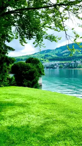 SWITZERLAND 🇨🇭 küssnacht_am Rigi🌳🌲⛰️🌿🏡 #berneroberland_switzerland🇨🇭 #peacefulppower_Natureloverrs_💦 #Naturevibes🌿♥️_Waterfalmagic #switzerland_mapping🗺🇨🇭 #spectacularspiderman #spectacularspiderman #berneroberland #swissalps #switzerland #schweiz #nature #jungfrauregion #jungfrauregion #myswitzerland #inlovewithswitzerland #Hiking #swiss #alps #wanderlust #suisse #travel #landscape 