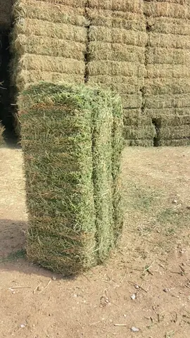 #الرياض_جده_مكه_الدمام_المدينه 