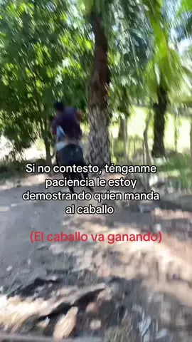 #caballos #vira #paratiiiiiiiiiiiiiiiiiiiiiiiiiiiiiii 