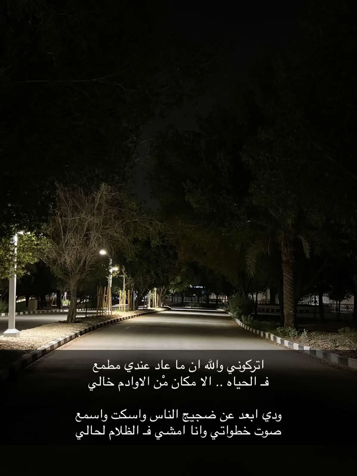 #شعر #قصايد #قصائد #الرياض #ترند #شيلات #شعراء #جده #اكسبلور 