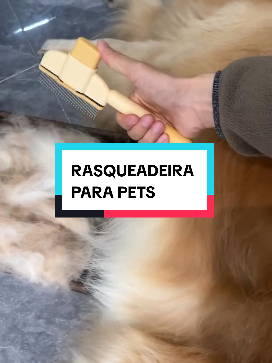 #shopeebrasil #acheinashopee #achados #petstory #petshop #veterinario #cãesdotiktok #cães #gatosgraciosos #achadosshopee 