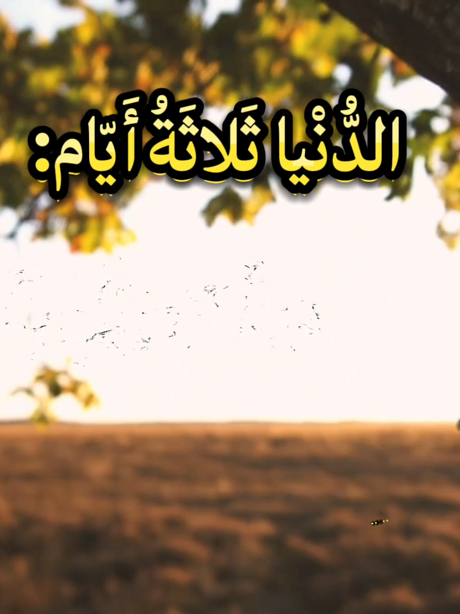 خواطر تلامس القلوب #عبارات #خواطر #للعقول_الراقية #تصميمي 