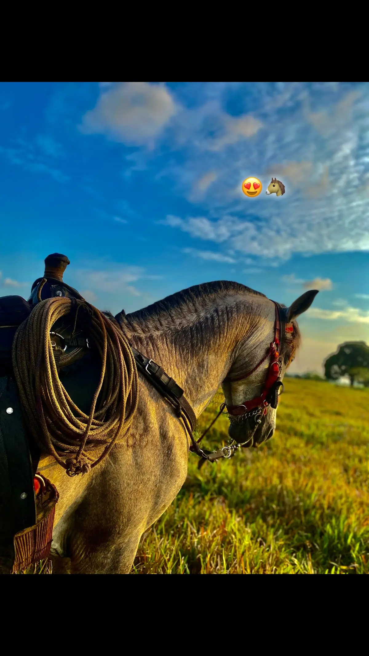 Si no es contigo🥹❤️‍🔥